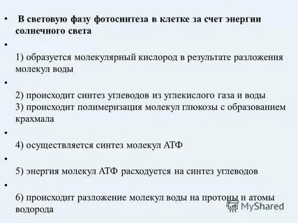В процессе фотосинтеза кислород образуется при расщеплении