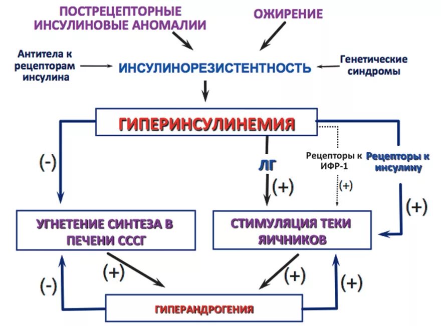 Патогенез инсулинорезистентности схема. Механизм развития инсулинорезистентности. Симптомы инсулин инсулинорезистентность. Схема развития инсулинорезистентности.