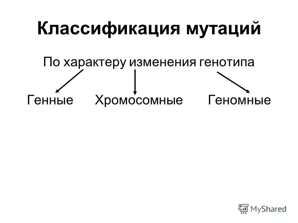 Классификация мутаций по характеру изменения. Классификация мутаций по характеру появления. Мутации связаны с изменением генотипа. Классификация мутаций по характеру изменения генотипа. Мутации связаны с изменением генотипа.