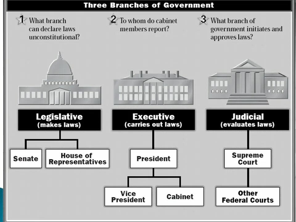 The new government has. Political System of the USA схема. Разделение властей в США. Ветви власти США. Исполнительная ветвь власти США.