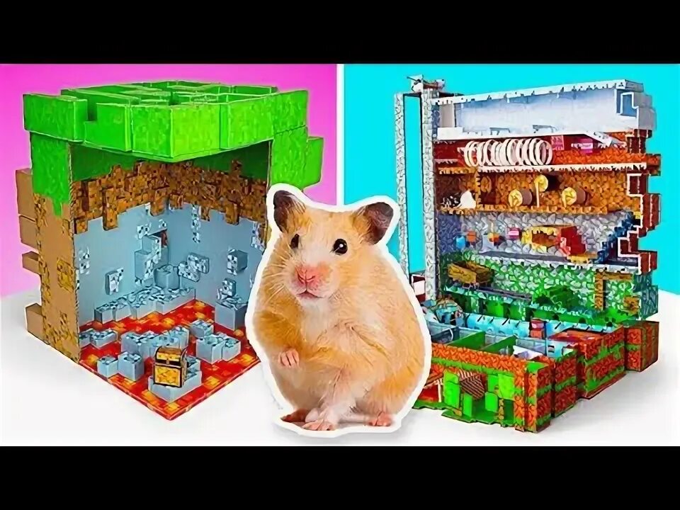 Слайм сэм лабиринты для хомяков. Hamster Maze game.