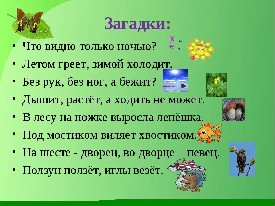 Многие вопросы окружающий. Загадки по экологии для дошкольников. Загадки на тему природа. Загадки о живой природе. Загадки на ТЕБЫ природа.