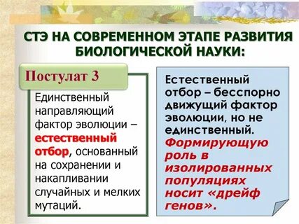 Направленный фактор