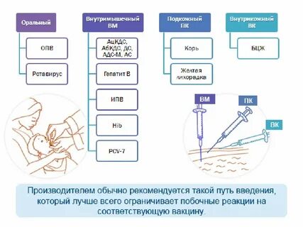 Места введения вакцин детям