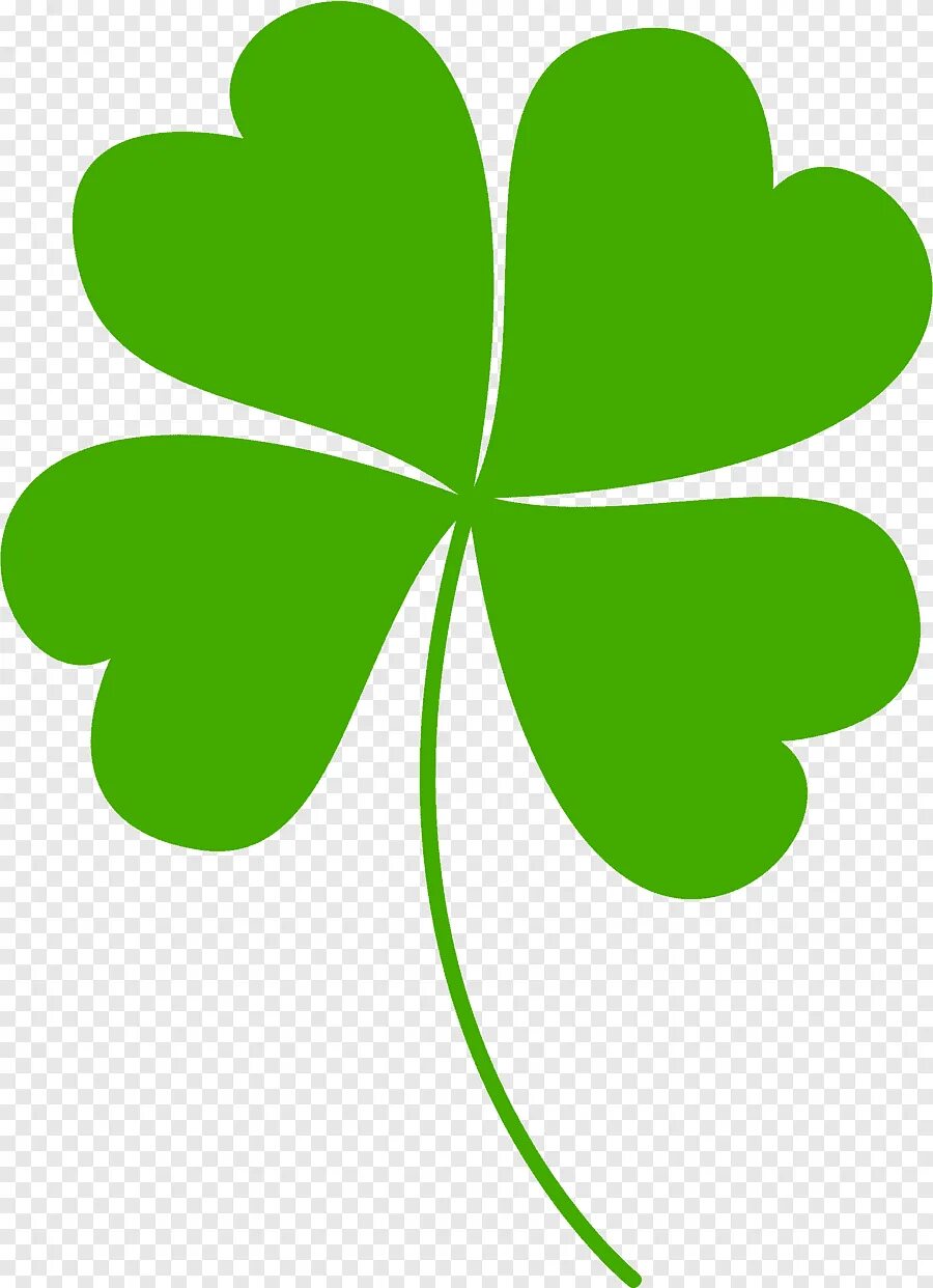 Четырёхлистный Клевер символ удачи. Клевер Шамрок Шемрок четырехлистный. Ирландский Клевер четырехлистный. Клевер четырехлистник символ удачи.