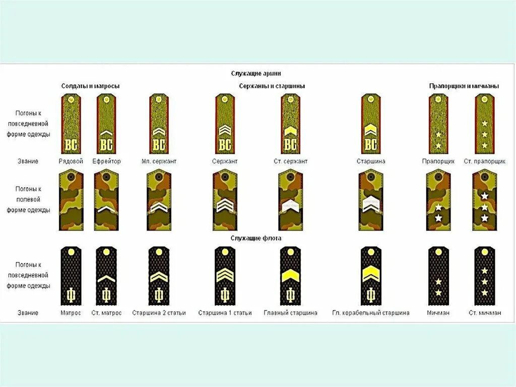 Знание погонов. Воинские звания вс РФ погоны. Звания военнослужащих вс РФ по погонам. Воинские звания и знаки различия военнослужащих вс РФ.. Воинские звания и погоны РФ ОБЖ.