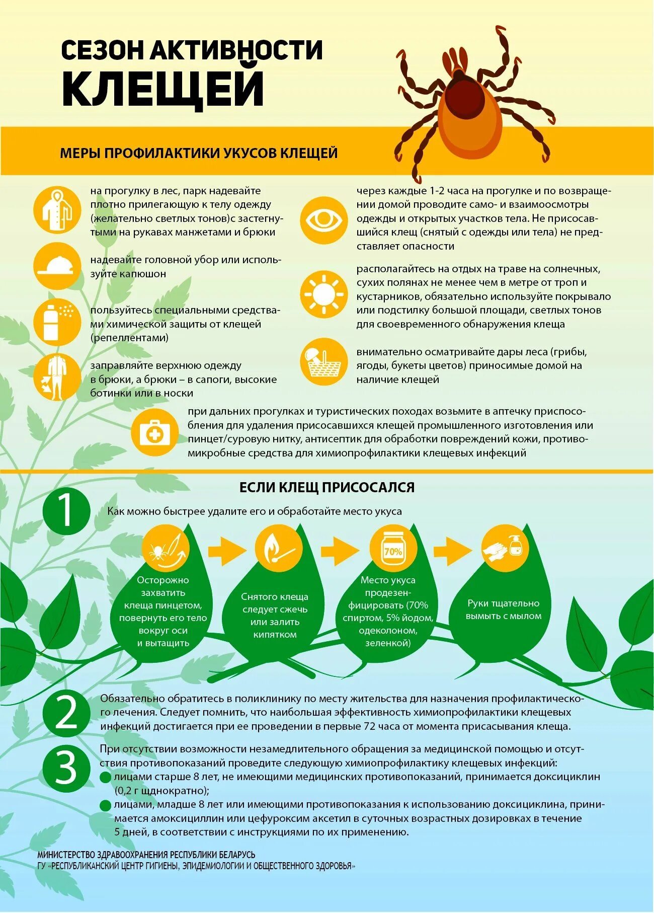 Памятка клещевой энцефалит для детей. Профилактика от укусов клещей. Клещи профилактика. Клещи листовка. Профилактика клещевых инфекций тест