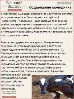 Способ содержания животных