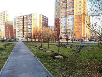 Тюмень аллея
