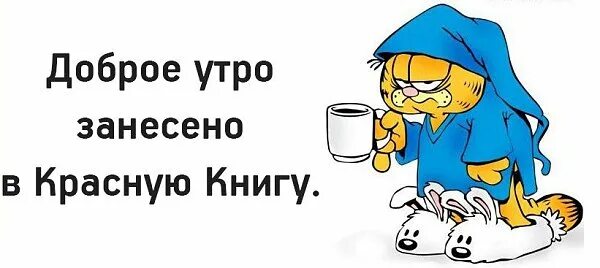 Недоброе утро картинки. Утро добрым не бывает. Утро бывает добрым если. Утро добрым не бывает картинки. Плохое утро картинки.