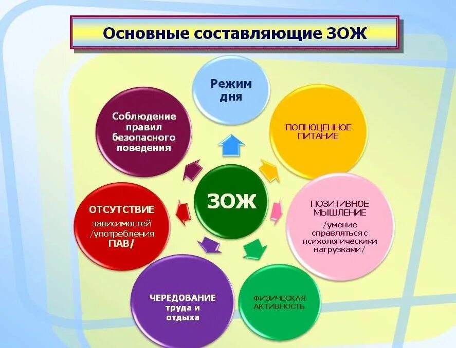 Составляющие картинка. Составляющие ЗОЖ таблица. Перечислите составляющие здорового образа жизни. Основные составляющие ЗОЖ. Составляющие ЗОЖ схема.