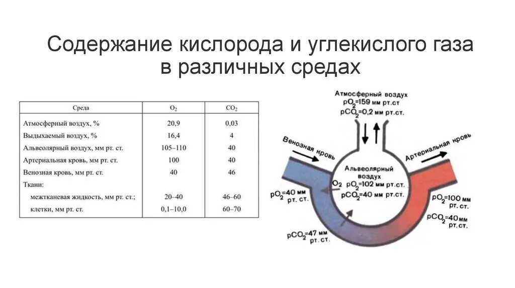 Углекислый газ и кислород сходства и различия. Сравнительная таблица кислорода и углекислого газа. Парциальное давление углекислого газа. Содержание кислорода и углекислого газа в крови. Концентрация кислорода и углекислого газа в крови.