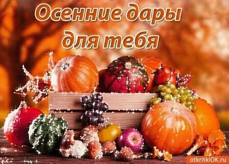 Осень балует дарами песня