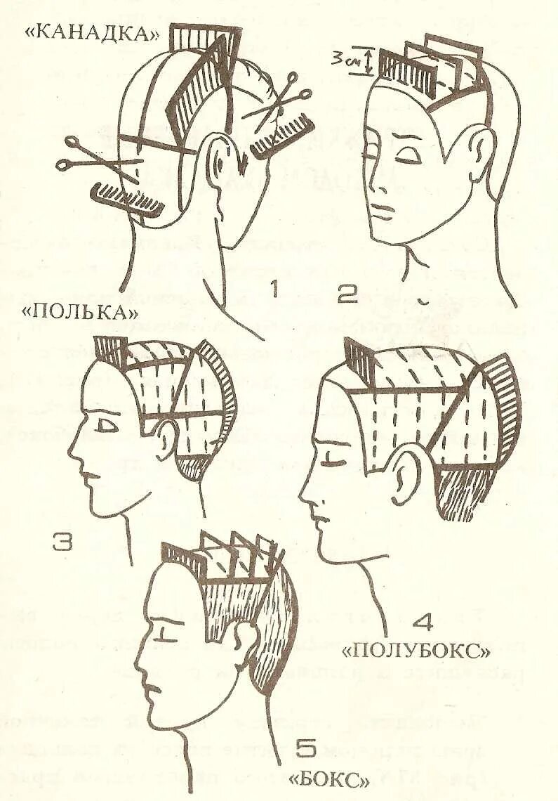 Стрижки полубокс пошагово. Технология выполнения стрижки канадка со схемами. Схема мужской стрижки полубокс. Схема стрижки канадка мужская. Мужская стрижка канадка схема стрижки