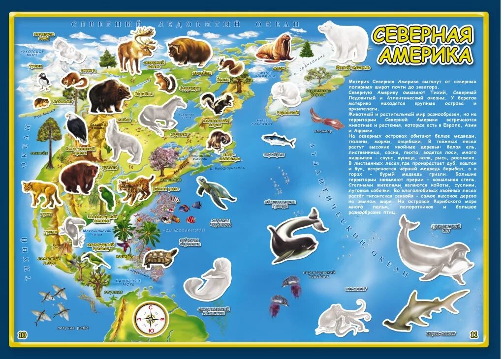 Атлас с животными для детей. Животные Северной Америки на карте. Животные континентов. Животный мир материка северная америка
