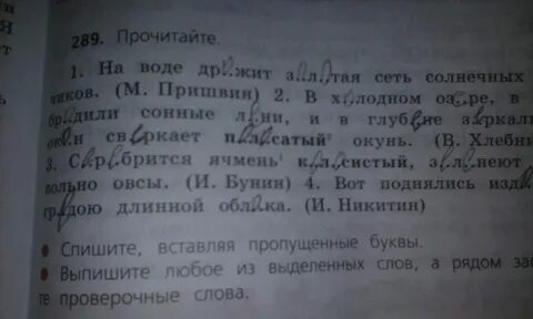 Полоска по составу 4 класс
