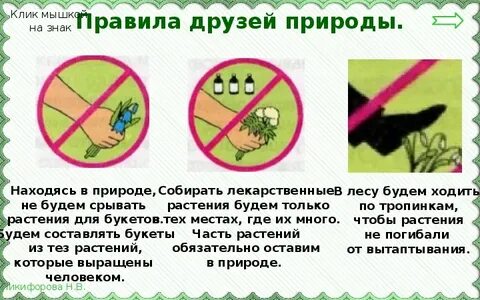 Берегите растения 3 класс