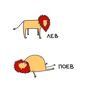 Лев поев