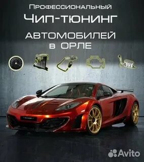 Чип орел