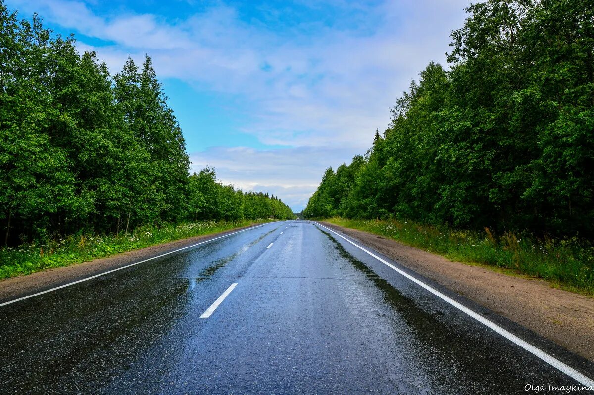 дорога домой муром