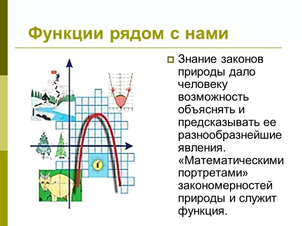 Практическое применение функции. Функции в жизни человека примеры. Функции рядом с нами. Графики функций в природе. Квадратичная функция в жизни человека.