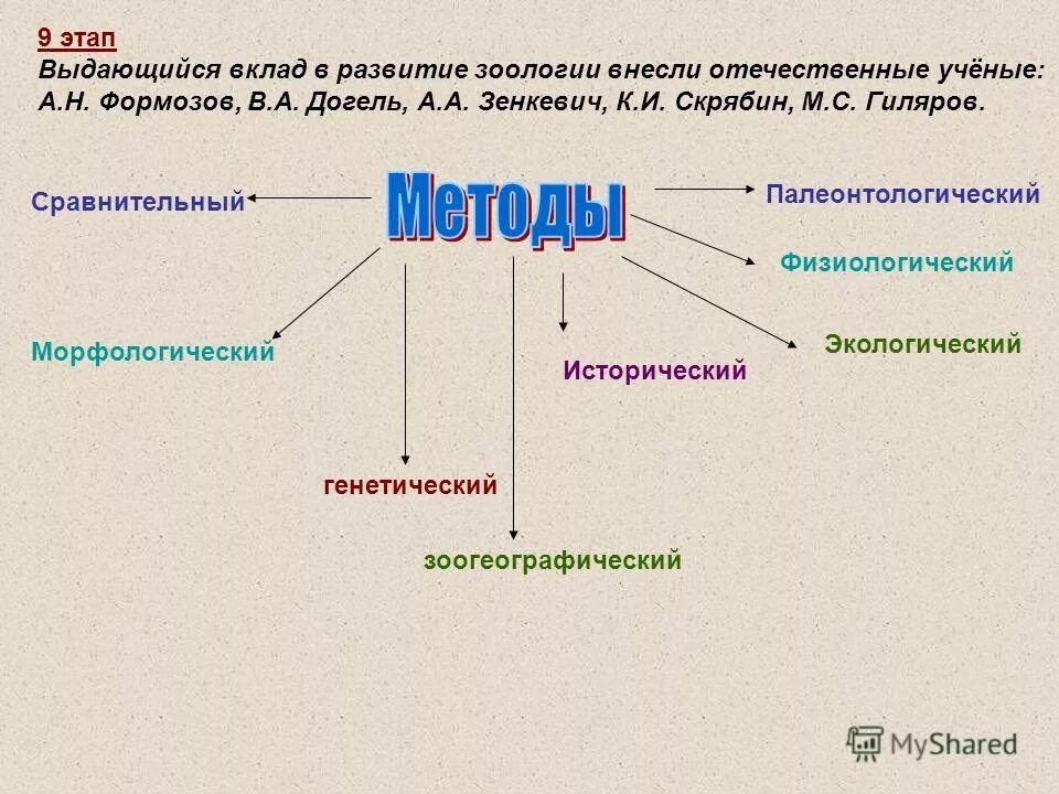 Какие разделы входят в состав зоологии. Методы зоологии. цели и задачи зоологии. общая характеристика царства животные.