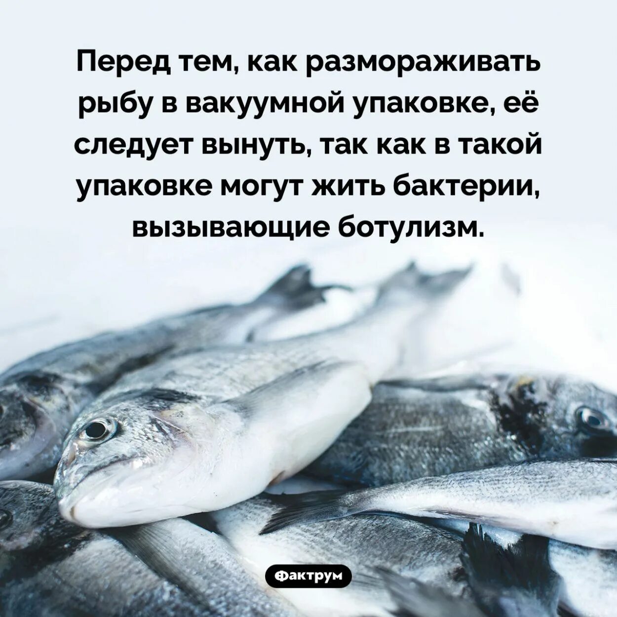 Как разморозить красную рыбу. Разморозка рыбы. оттаивание рыбы. как разморозить рыбу. размороженная рыба.
