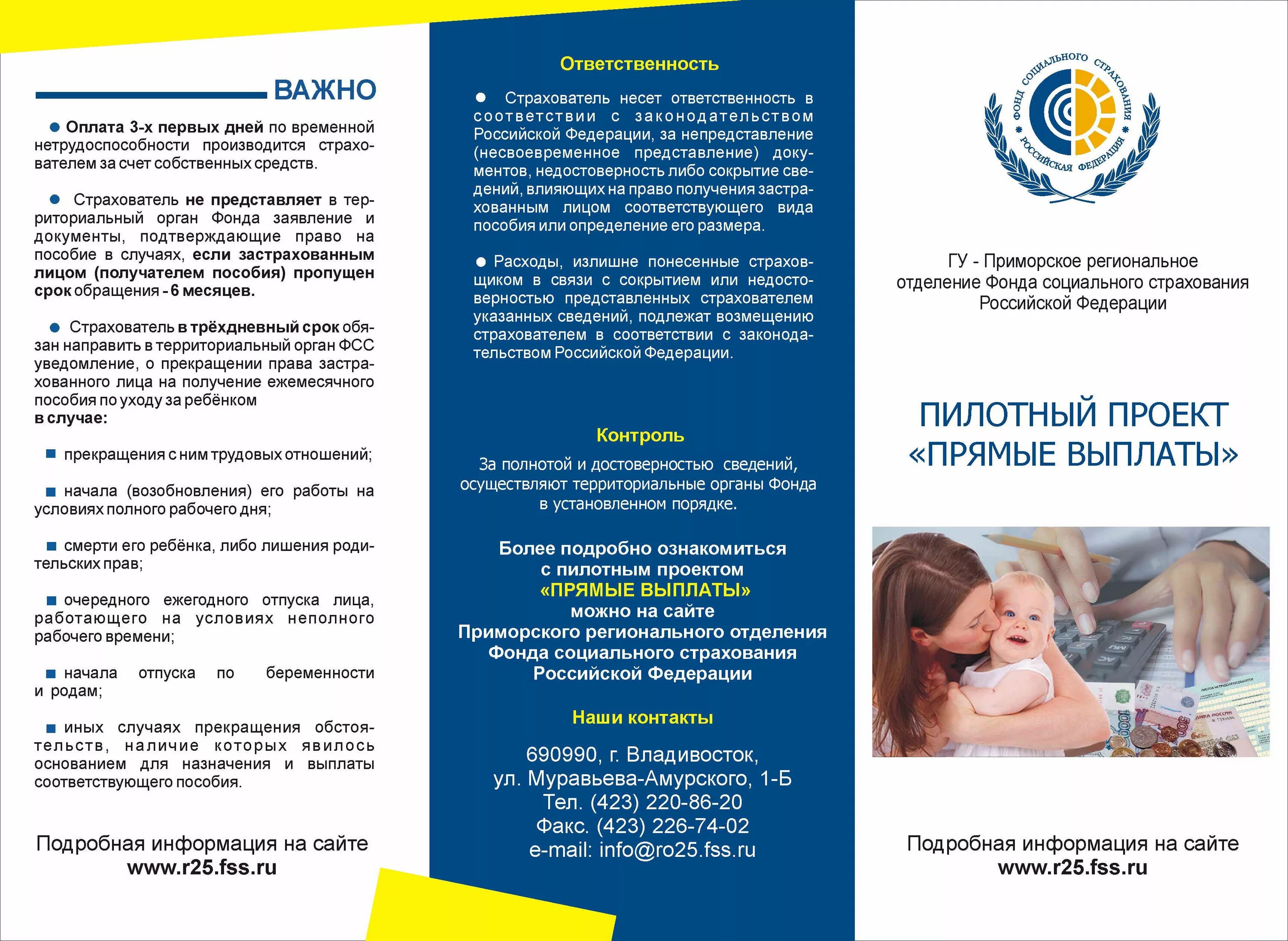 Срок пилотного проекта