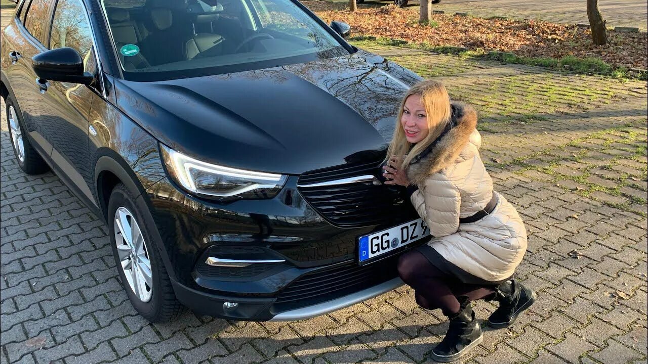 Автоблогер лиса рулит. Авто с пробегом лиса рулит. Лиса рулит газель некст. Лиса рулит nissan terrano. Эксид лиса рулит.