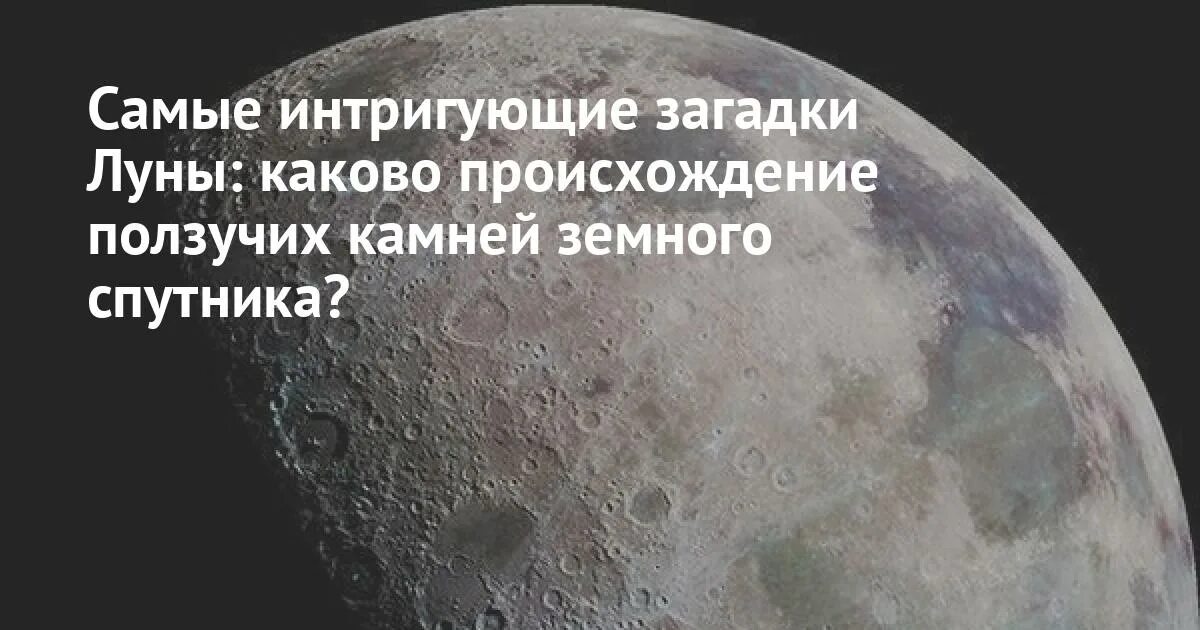 Логические загадки с ответами с подвохом для детей. Шуточные диалоги печень и почки. Интрига загадка. Интрига загадка. Загадки для дураков.