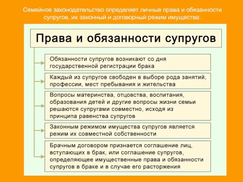 Семья определение в законе