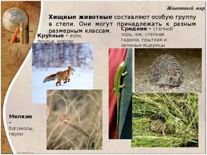Обитатель составить