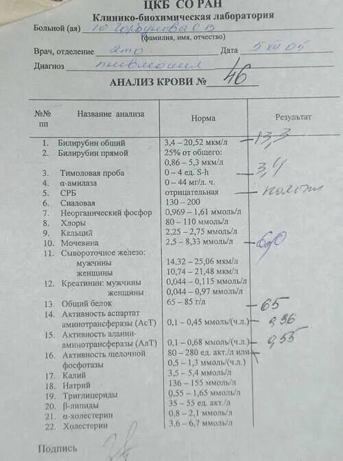 Какой анализ сдать на белок. Биохимический анализ крови на ревмопробы норма. Ревматоидные пробы крови расшифровка. Ревмопробы показатели нормы. Ревмопробы СРБ норма.