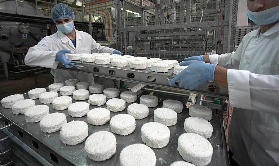 Какую продукцию выпускают предприятия