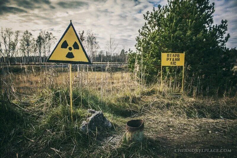 Чернобыль зона радиации. Ионизирующая радиация чернобыль. Радиоактивная зона. Радиоактивная зона. Чернобыль радиация.