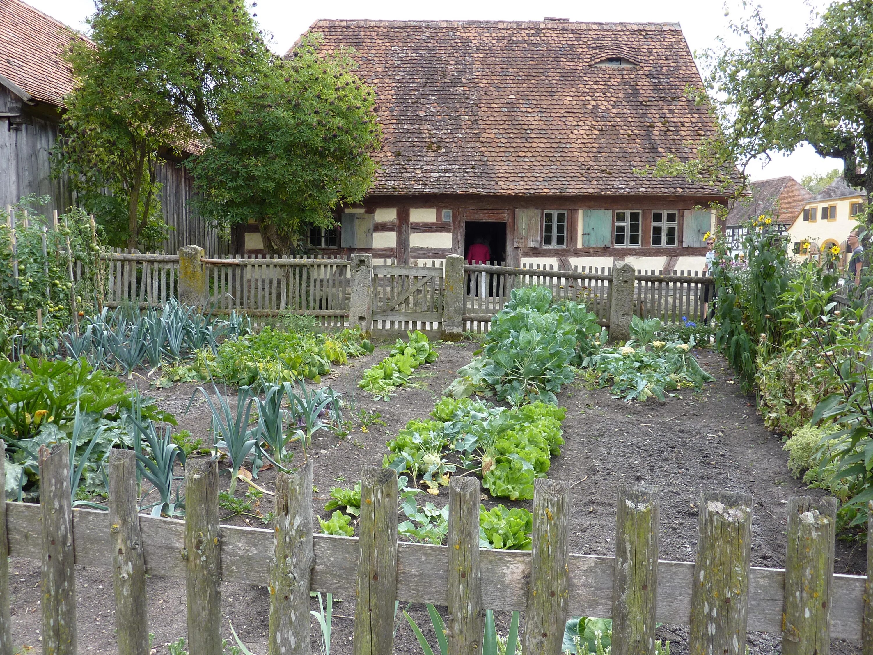 Деревня грядки. Пермакультура англия. Огород на даче. Российский огород. Деревенские грядки.
