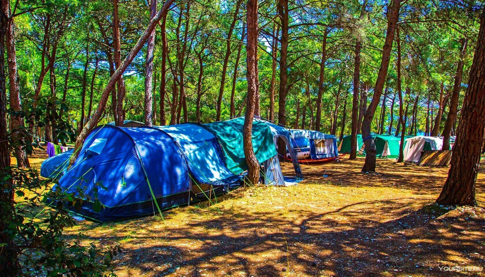Палаточный кемпинг Айская Долина. Фестиваль в Гуамке палаточный лагерь. Палаточный кемпинг Бурмистрово. Кепинг лагерь. Кемпинг участок