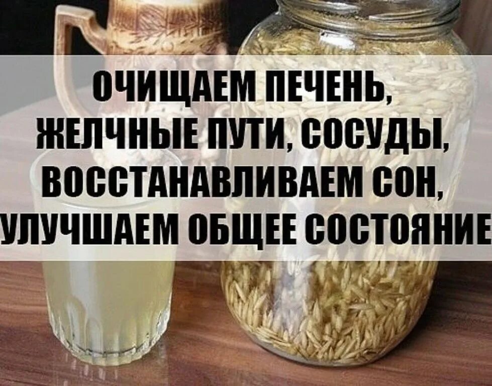 Чистка печени овсом рецепт. Очищаем печень, желчные пути, сосуды. Очищаем печень желчные пути сосуды восстанавливаем сон. Очищаем печень овсом. Очищаем печень желчные пути овес.