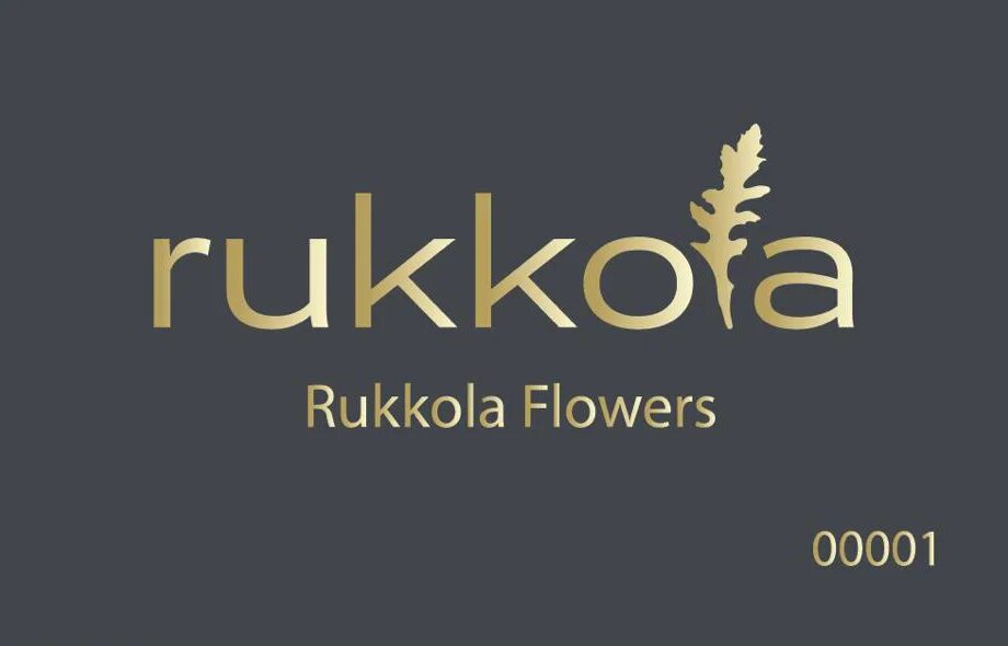 Руккола фловерс. Руккола фловерс. Руккола фловерс. Rukkola flowers. Руккола флауэрс.