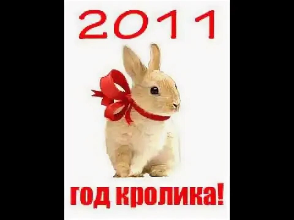 Год кролика. 2011 Год кролика. Год кролика 2011 год. 2011 Год год. 24 год год кролика