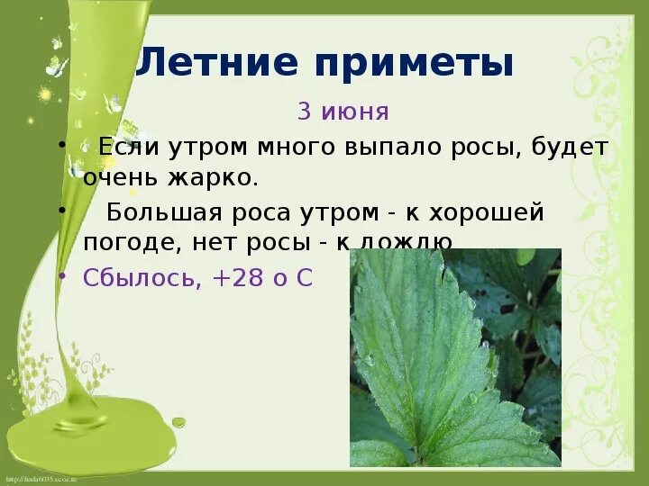 3 Июня приметы. Народные приметы про росу. Народные приметы на 3 июня. 3 Летние приметы.