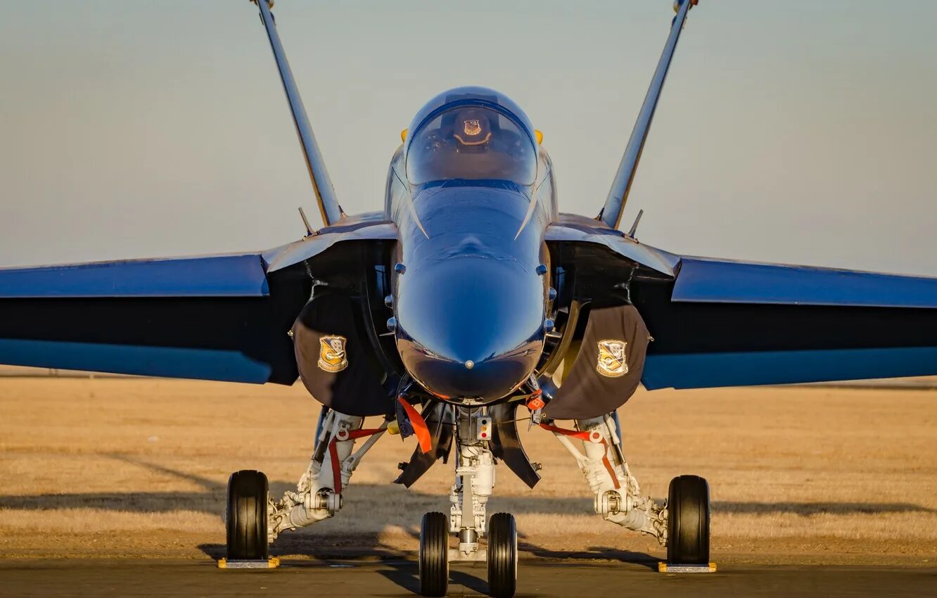 Mcdonnell douglas f 18. F/A-18a Hornet "Blue Angels". F 18 истребитель. F-18 Blue Angels. F16 Blue Angels.