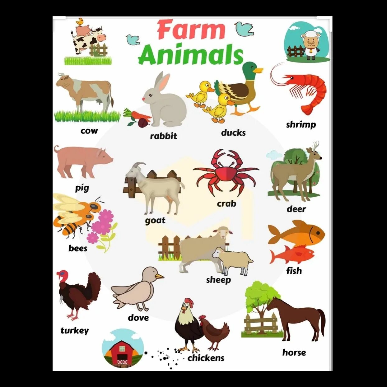 Животные фермы английский презентация. Farm animals карточки большие. Farm animals Vocabulary. Farm animals перевод. Pets vocabulary