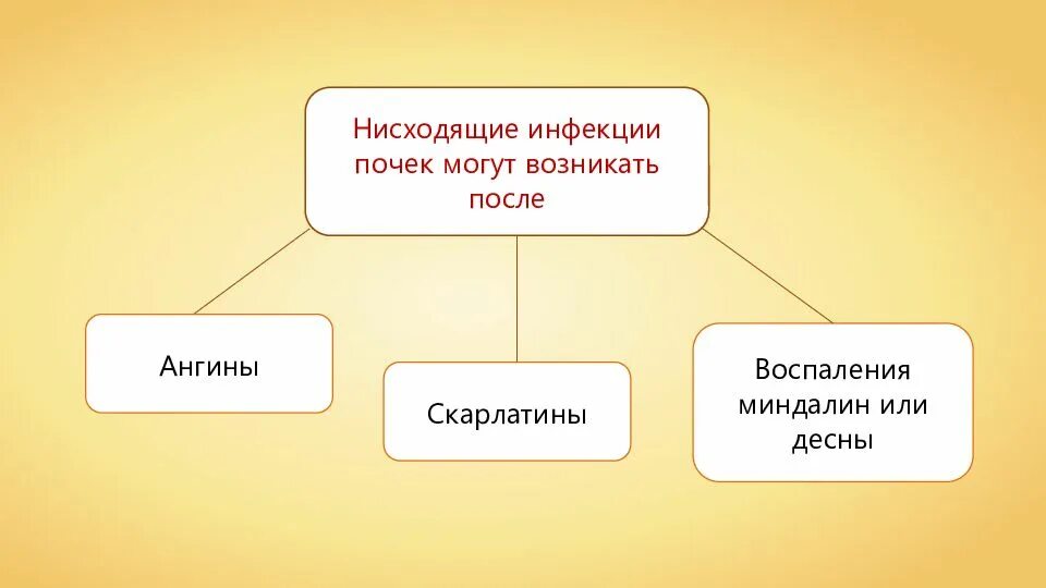 Нисходящая система. Нисходящие инфекции. Нисходящие инфекции почек. Болезни органов мочевыделения. Презентация на тему заболевания органов мочевыделения.