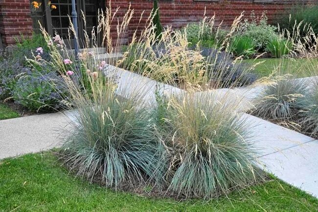 Tuinprojecten en tuinrealisaties - Erik van Gelder tuinstudio Grasses garden, Ga