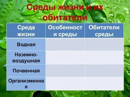 В какой среде живут простейшие