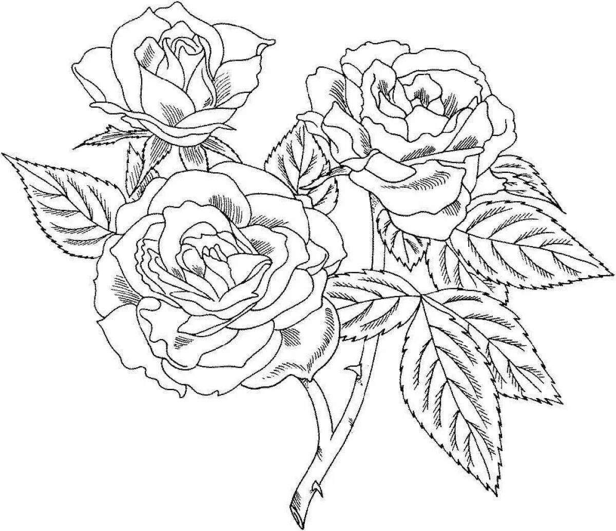 Печатать кроме. Цветы. Раскраска. Раскраска букет роз. Рисунки для раскрашивания цветы.
