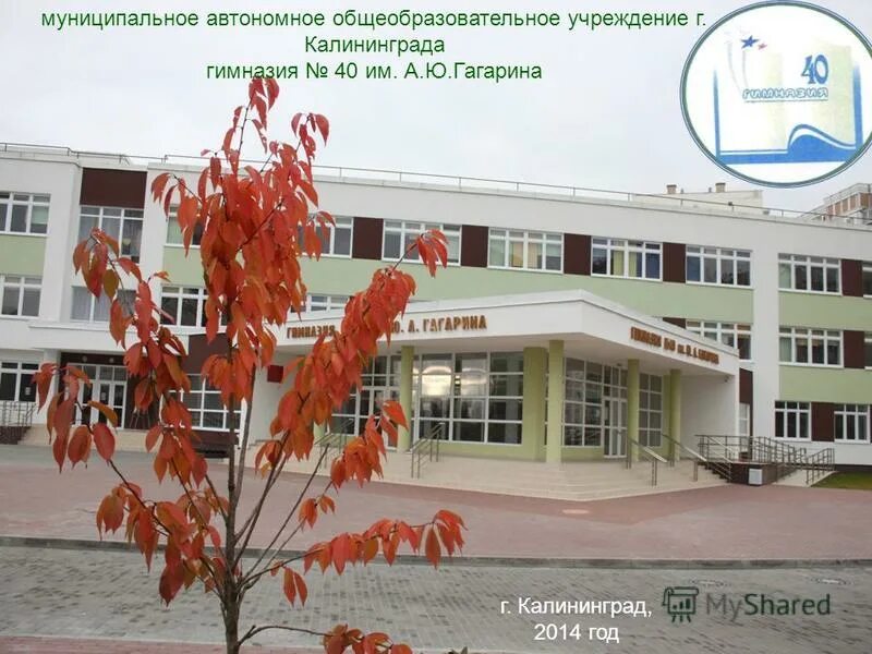 электронный дневник 40 гимназии калининград