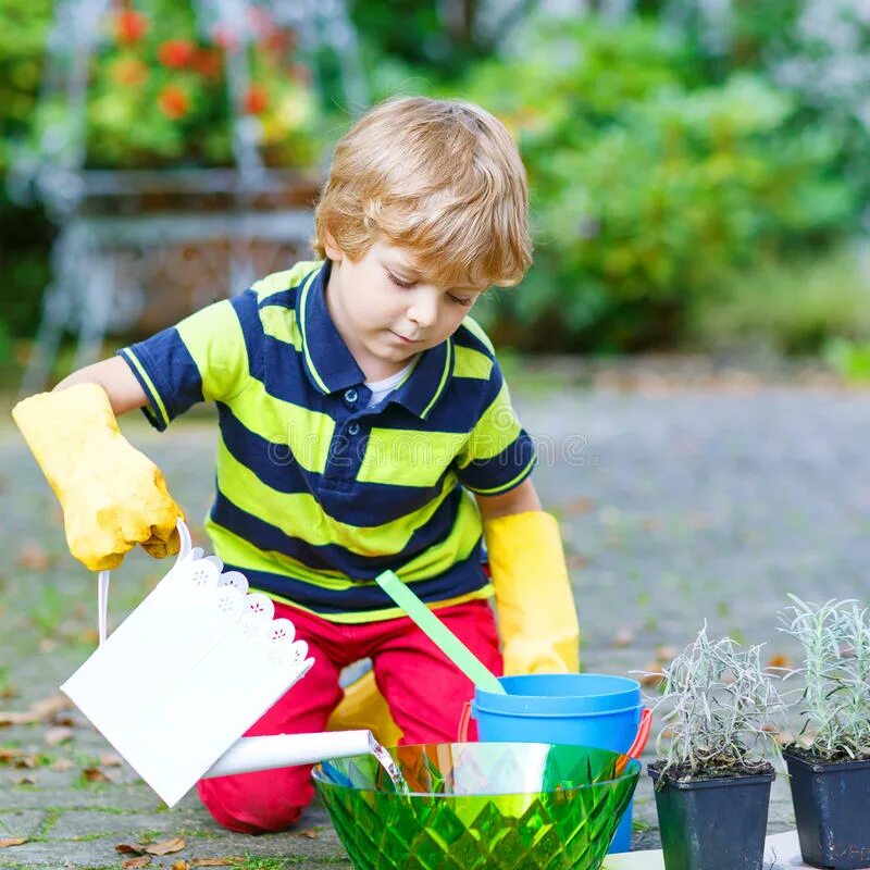 Boys plant. Фото как дети садят цветы дома. Мальчик думает как посадить цветы. Как посадить мальчика. Дети садят цветок в банку в детском саду.