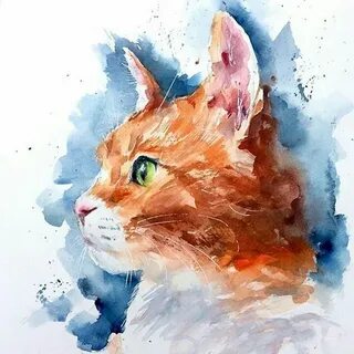 Кот акварелью